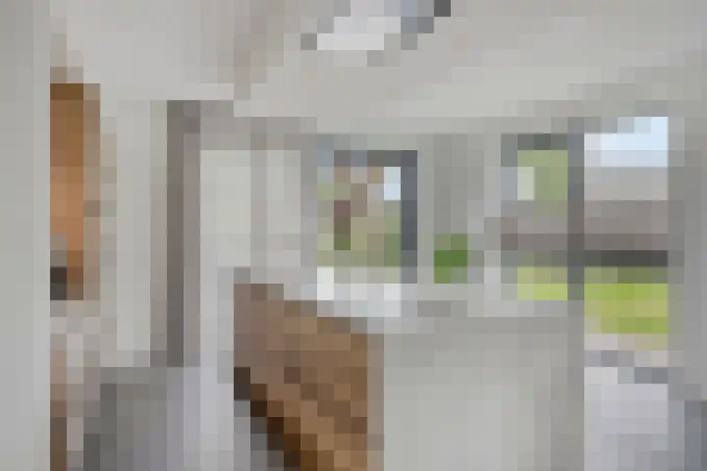 De Laak 5 Loenen thumbnail 19