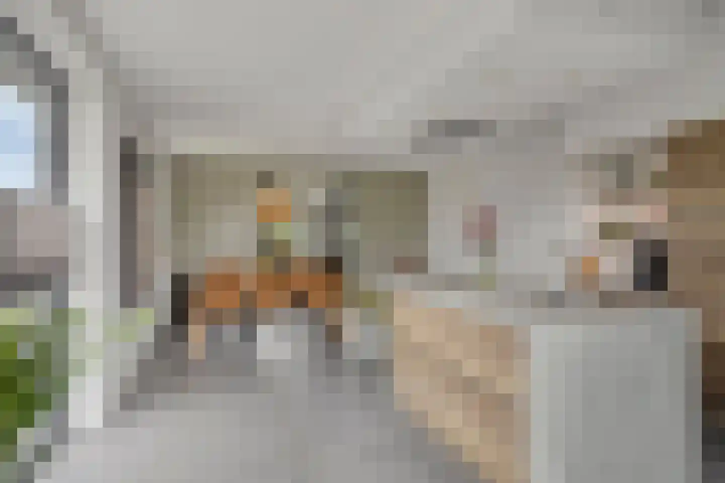 De Laak 5 Loenen thumbnail 21