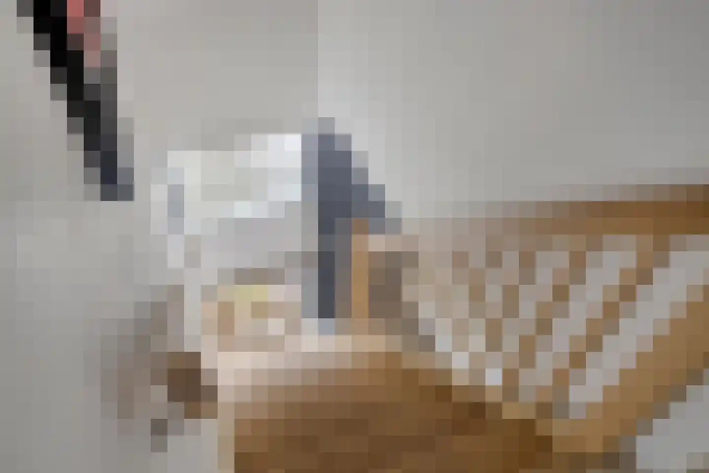 De Laak 5 Loenen thumbnail 28