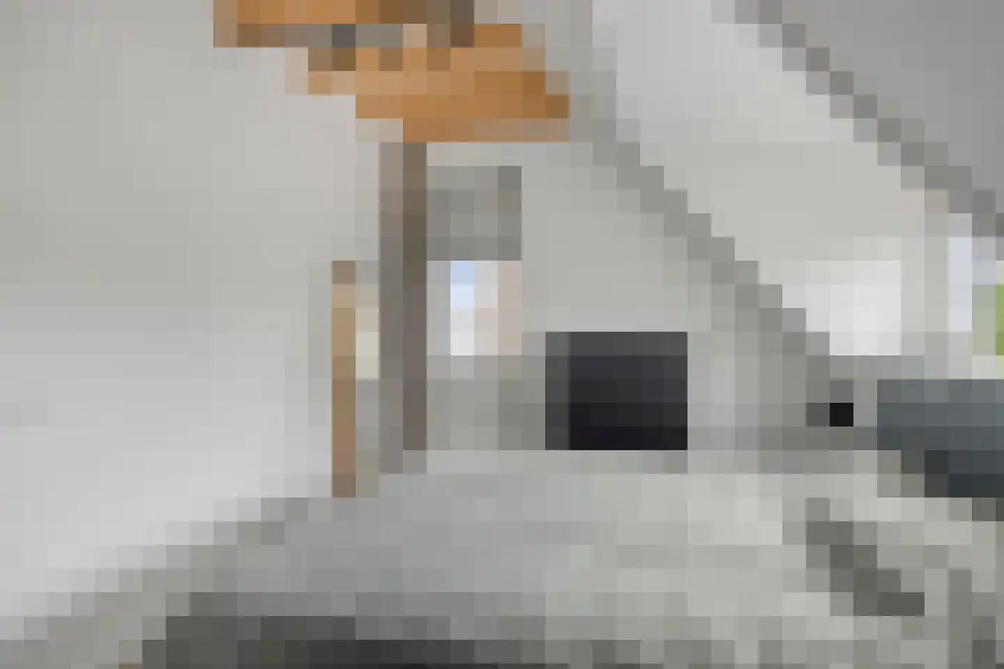 De Laak 5 Loenen thumbnail 31