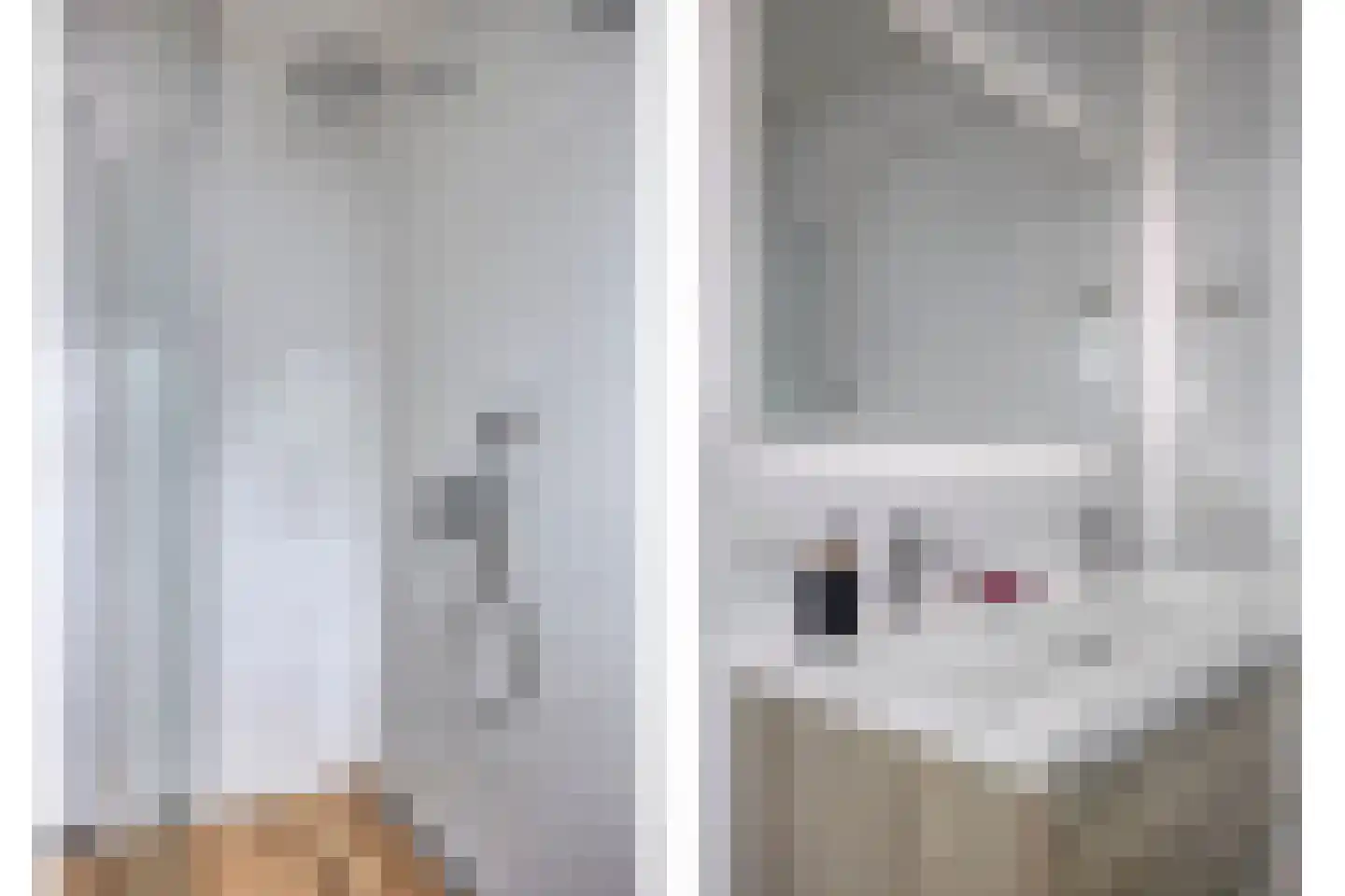 De Laak 5 Loenen thumbnail 35