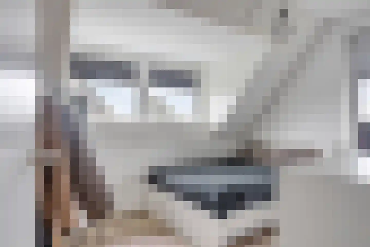 De Laak 5 Loenen thumbnail 40