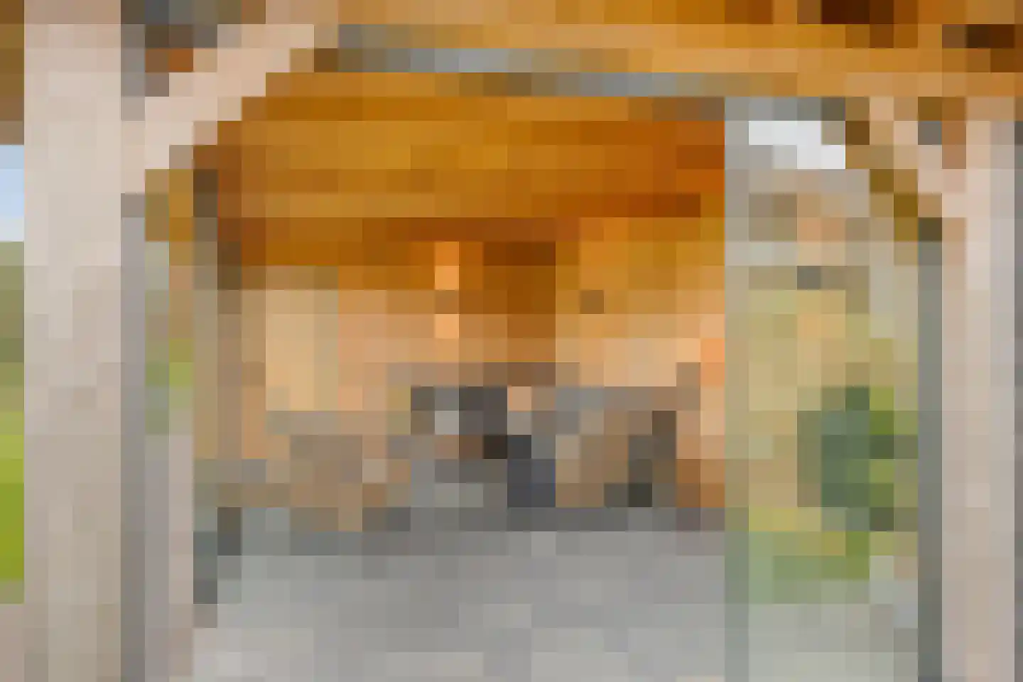 De Laak 5 Loenen thumbnail 53