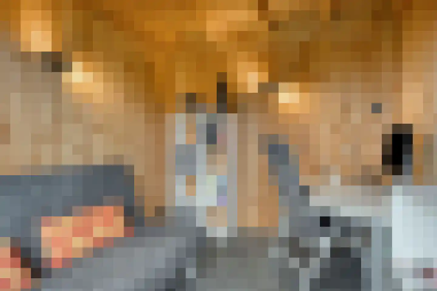 De Laak 5 Loenen thumbnail 55