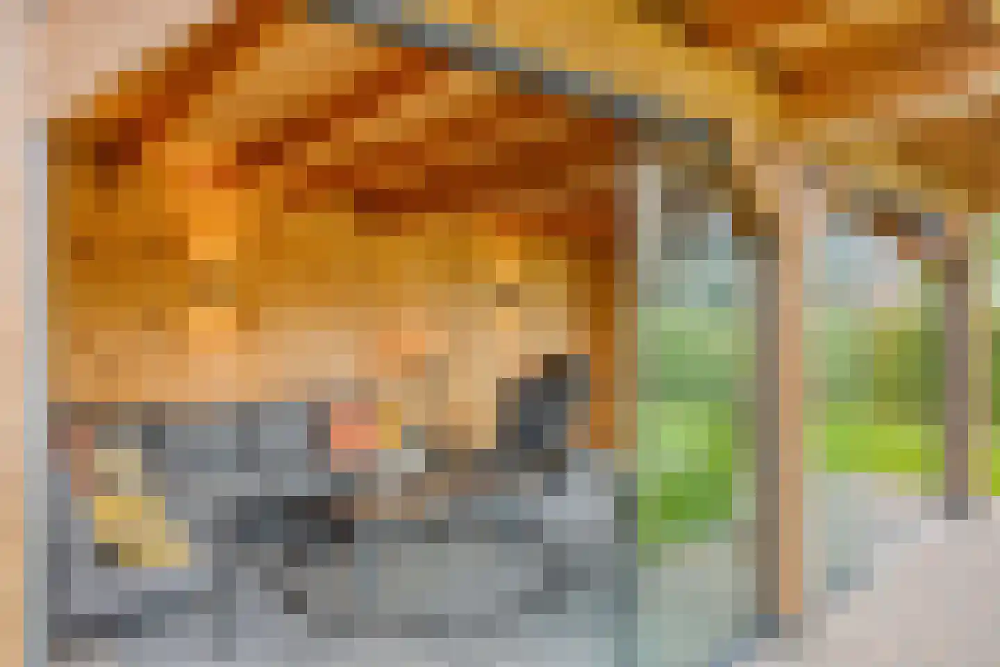 De Laak 5 Loenen thumbnail 56