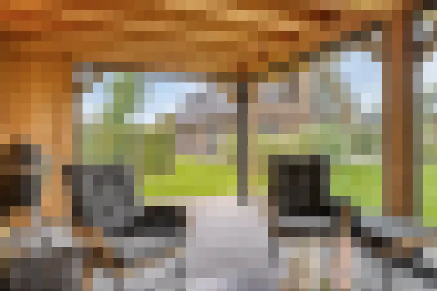 De Laak 5 Loenen thumbnail 57