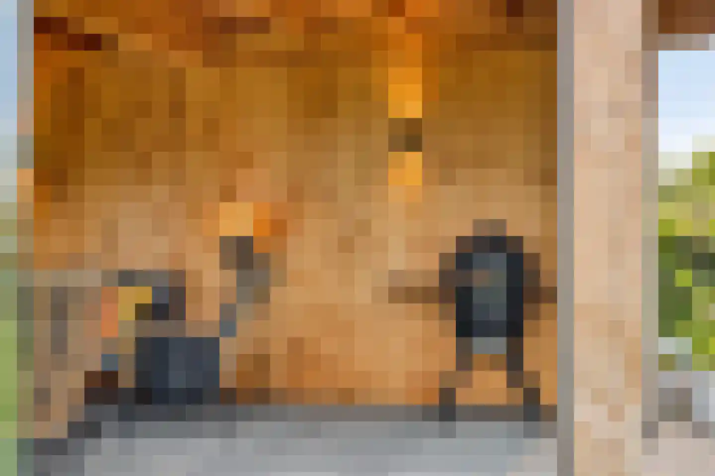 De Laak 5 Loenen thumbnail 58