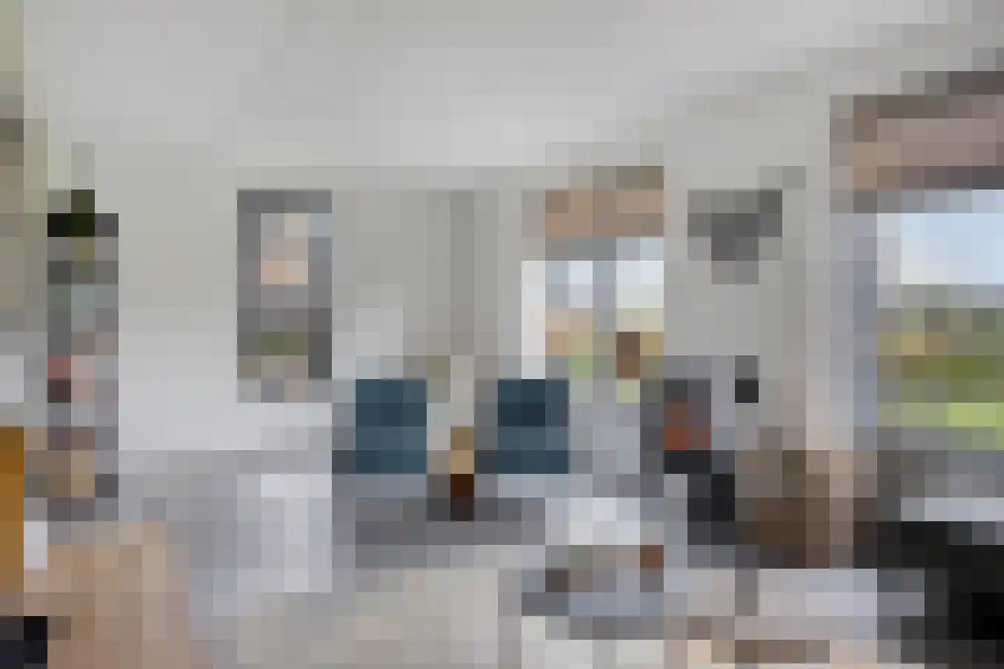 De Laak 5 Loenen thumbnail 8