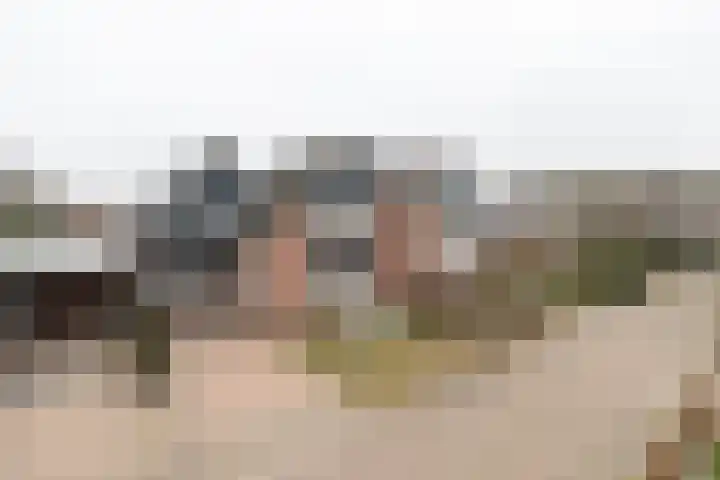 De Laak 5 Pesse