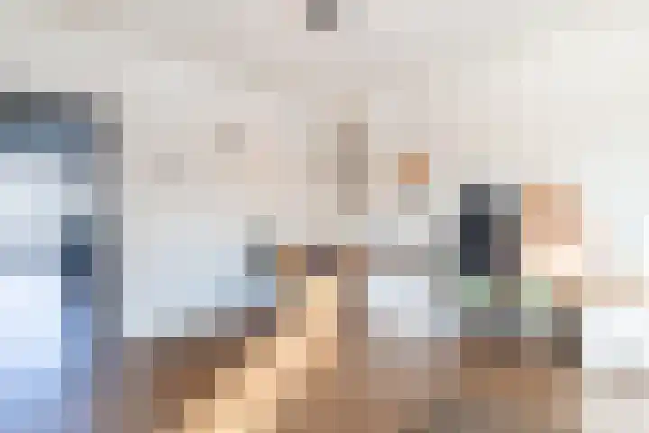De Laak 5 Pesse thumbnail 10