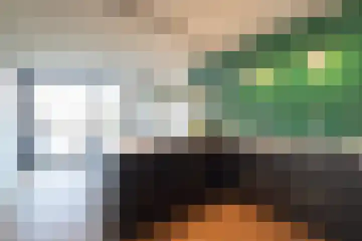 De Laak 5 Pesse thumbnail 11