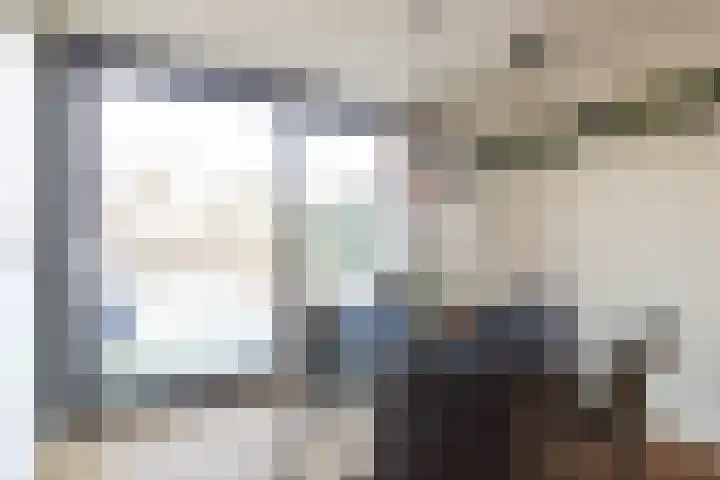 De Laak 5 Pesse thumbnail 12
