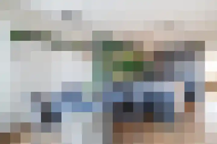 De Laak 5 Pesse thumbnail 13