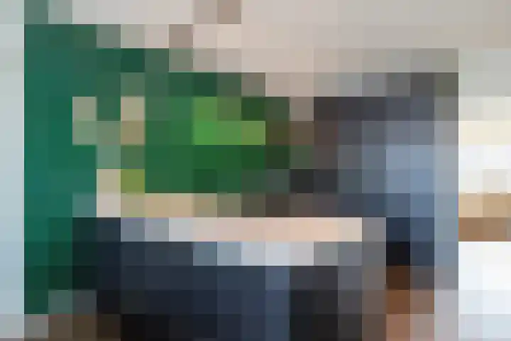 De Laak 5 Pesse thumbnail 14