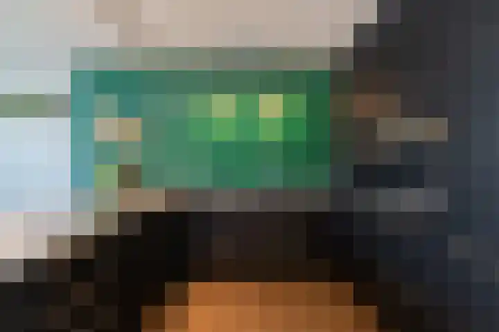 De Laak 5 Pesse thumbnail 15