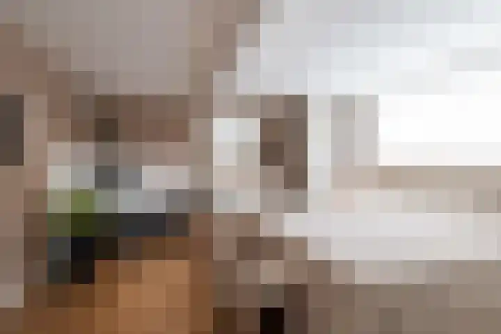 De Laak 5 Pesse thumbnail 21