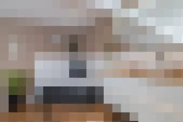 De Laak 5 Pesse thumbnail 24