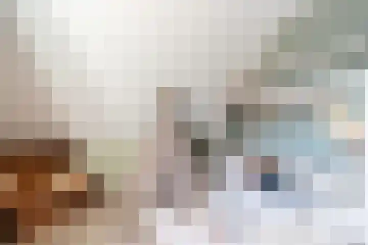 De Laak 5 Pesse thumbnail 26