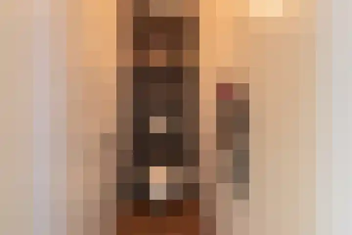 De Laak 5 Pesse thumbnail 27