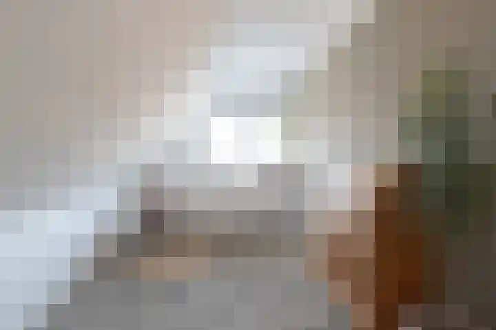 De Laak 5 Pesse thumbnail 30