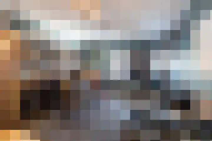 De Laak 5 Pesse thumbnail 34