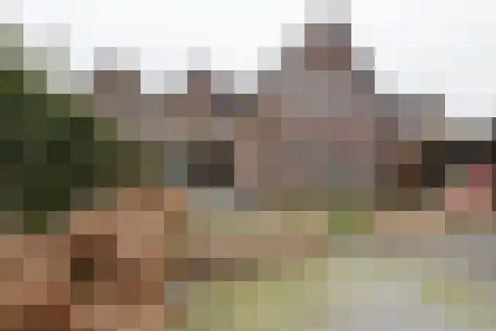 De Laak 5 Pesse thumbnail 35