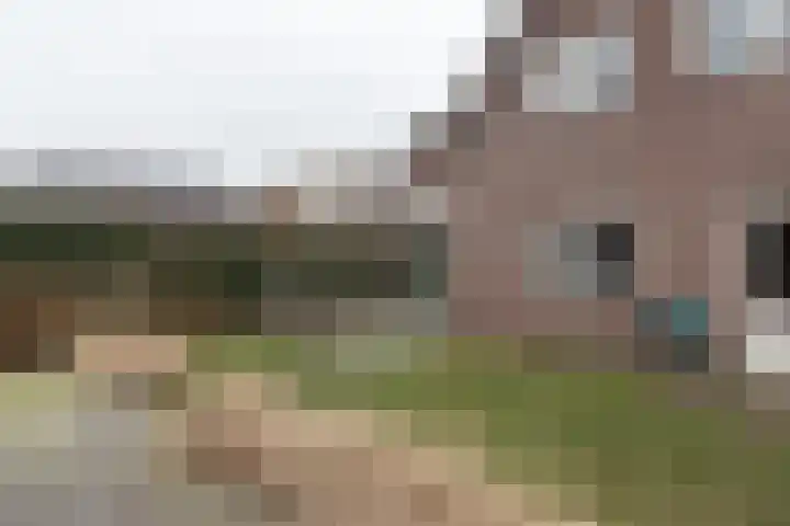 De Laak 5 Pesse thumbnail 36