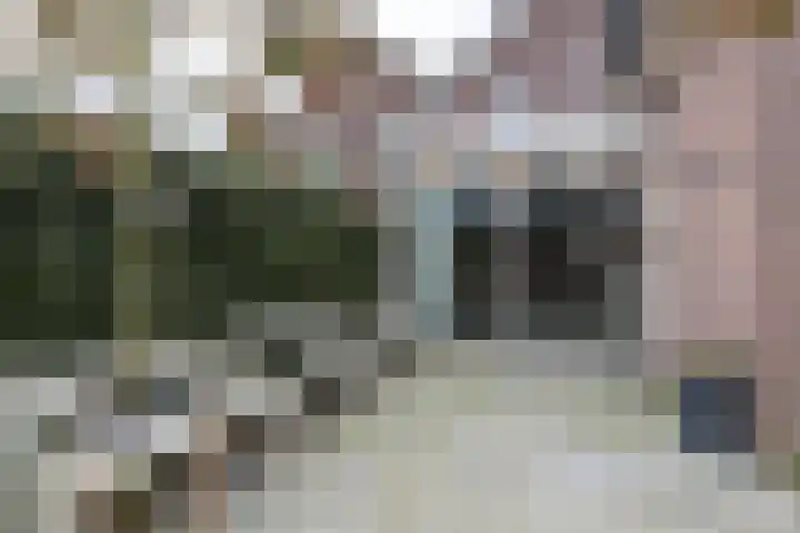 De Laak 5 Pesse thumbnail 37