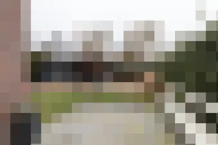 De Laak 5 Pesse thumbnail 38