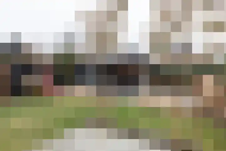 De Laak 5 Pesse thumbnail 39