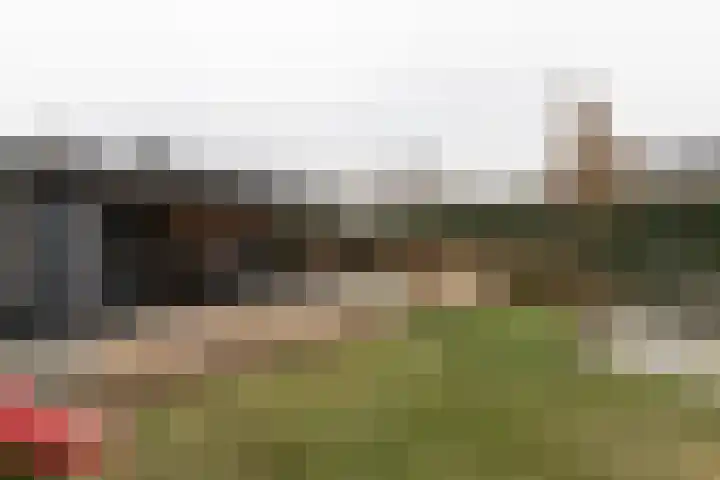 De Laak 5 Pesse thumbnail 42