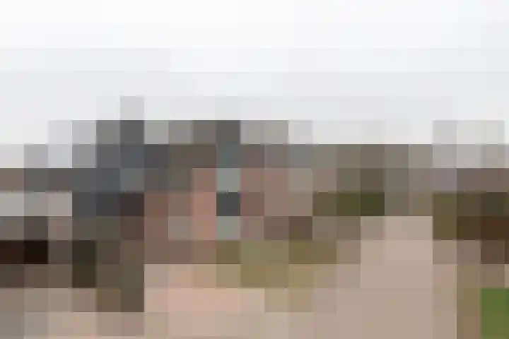 De Laak 5 Pesse thumbnail 45