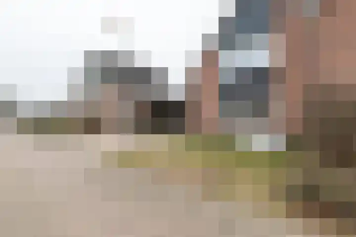 De Laak 5 Pesse thumbnail 46
