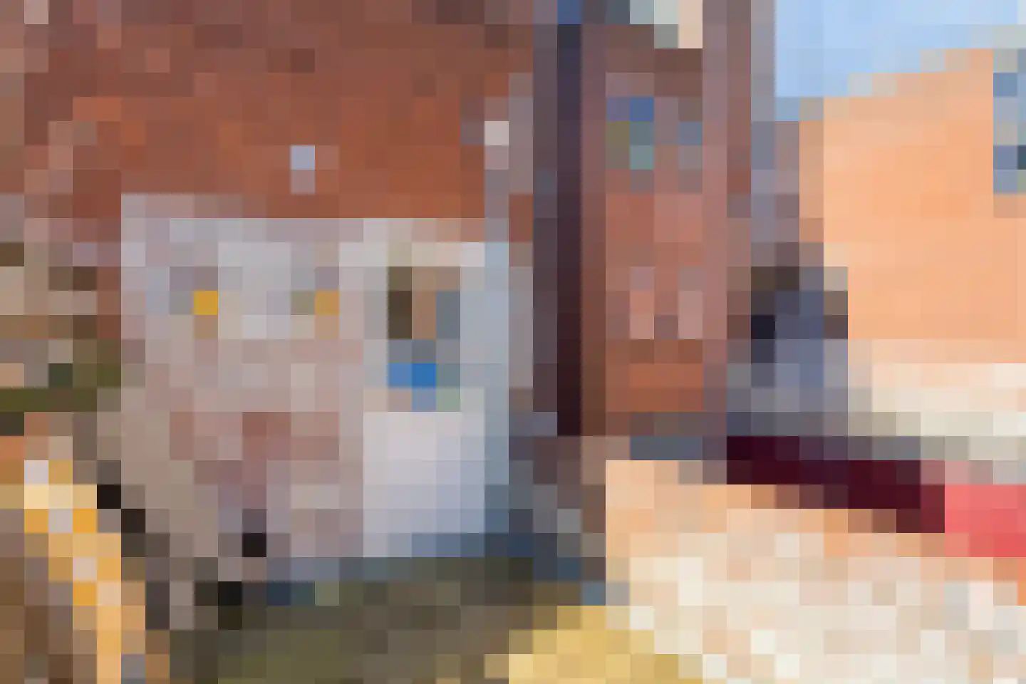 De Laan 11 a Groningen thumbnail 25