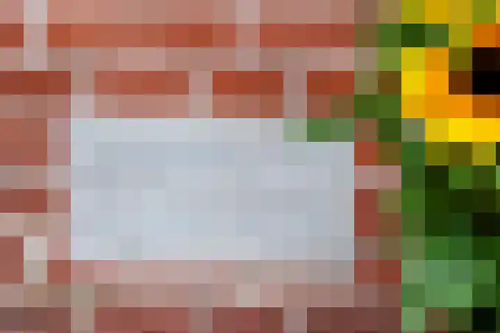 De Laan 35 Groningen thumbnail 47