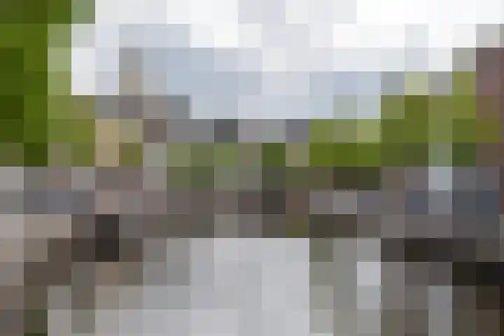 De Laan 35 Groningen thumbnail 49