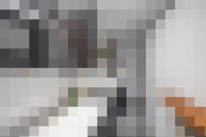 De Laan 5 Groningen thumbnail 11