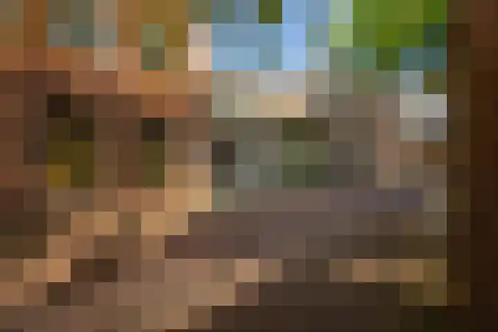 De Laan 5 Groningen thumbnail 25