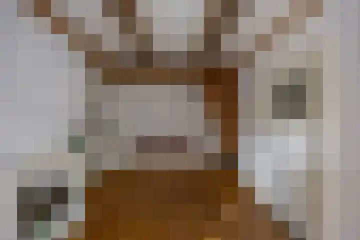 De Laan 5 Groningen thumbnail 7