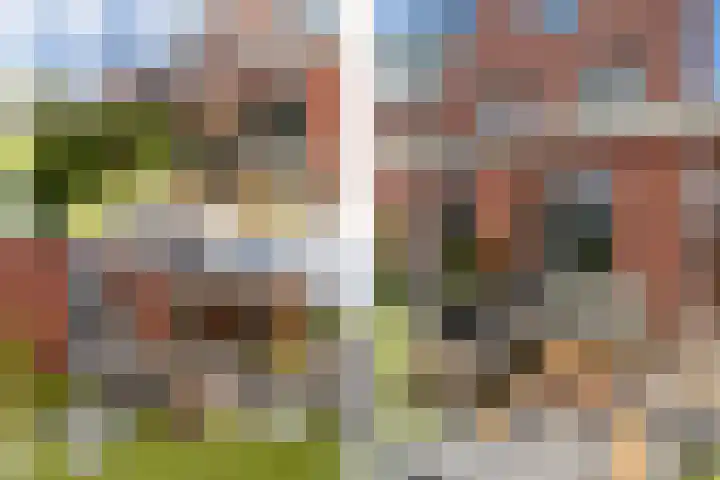 De Laan van Westlands Roem 14 Wateringen thumbnail 24