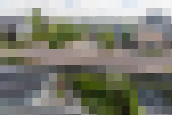 De Laan van Westlands Roem 14 Wateringen thumbnail 38