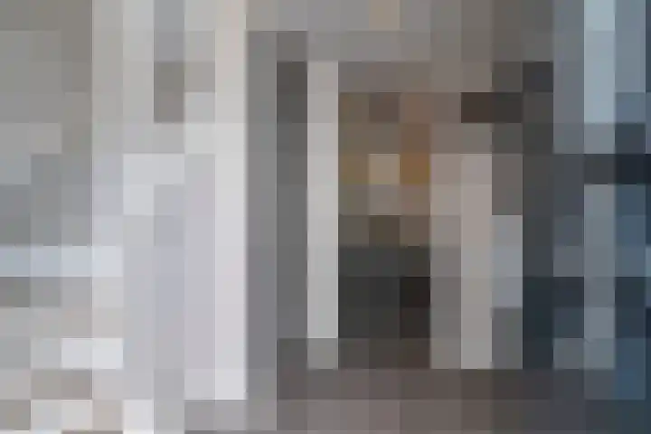 De Laan van Westlands Roem 14 Wateringen thumbnail 6