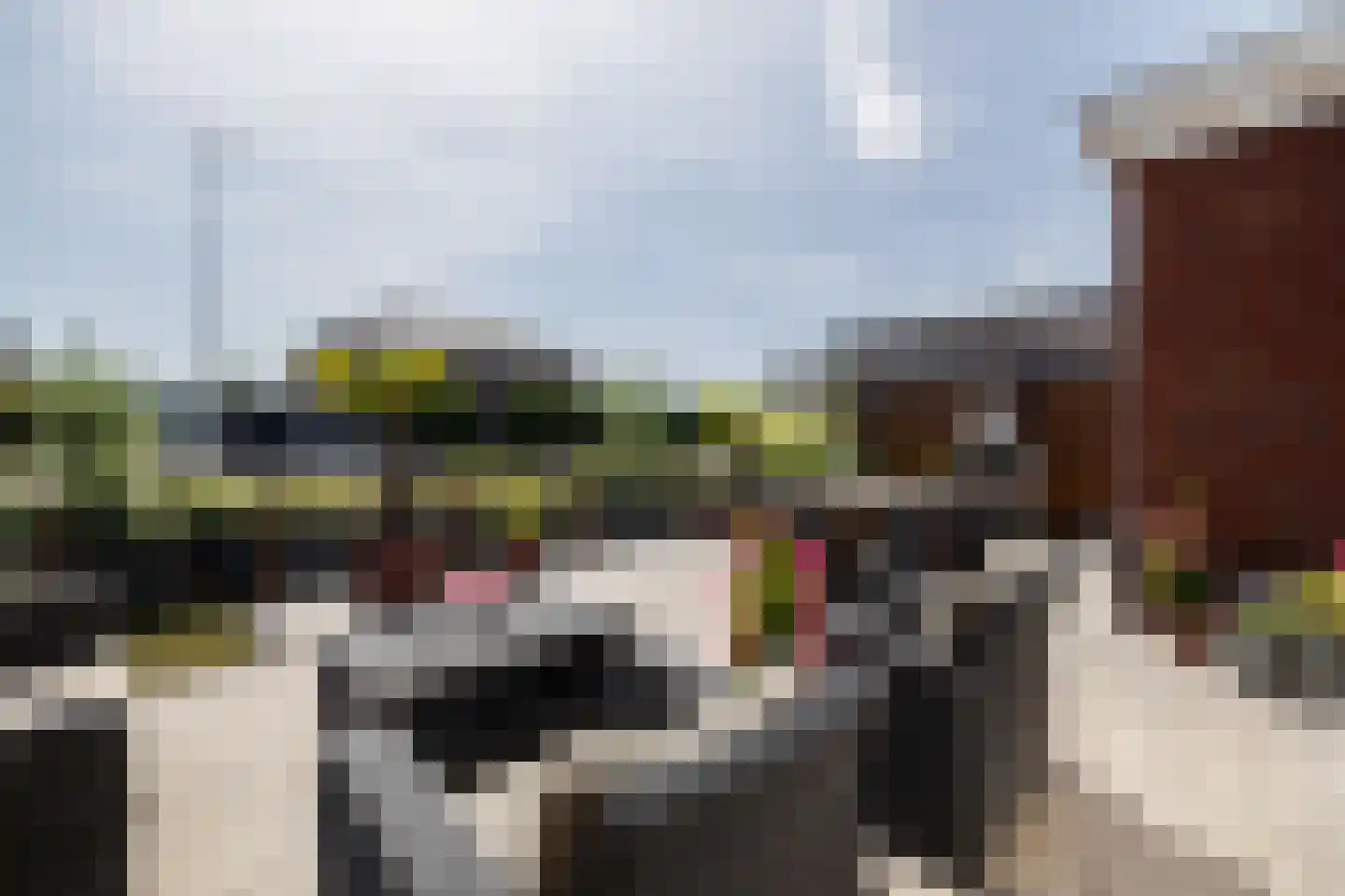 De Laan van Westlands Roem 8 Wateringen thumbnail 37