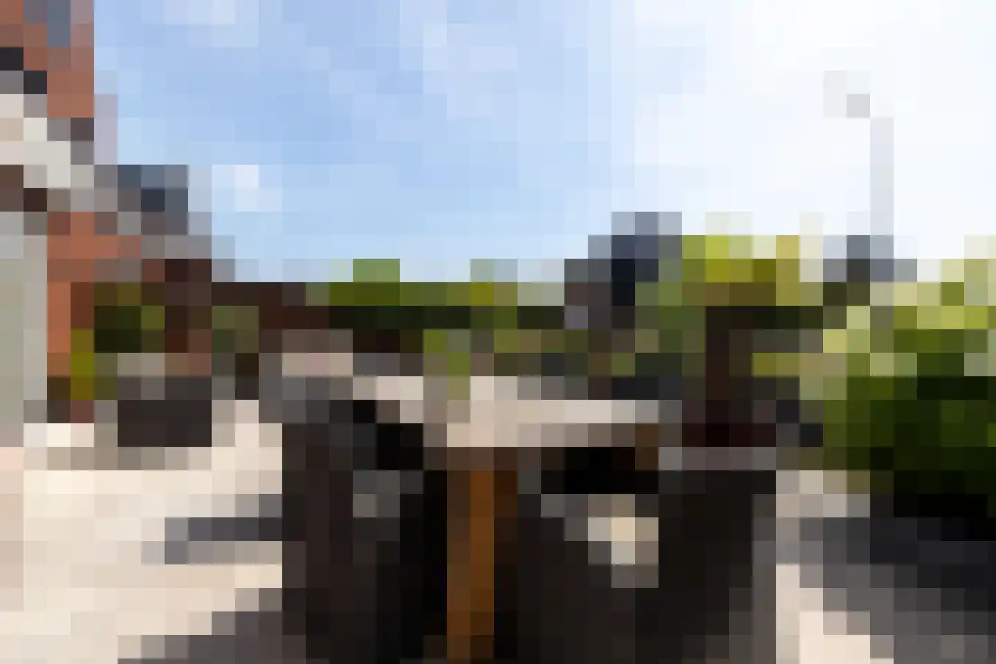 De Laan van Westlands Roem 8 Wateringen thumbnail 38
