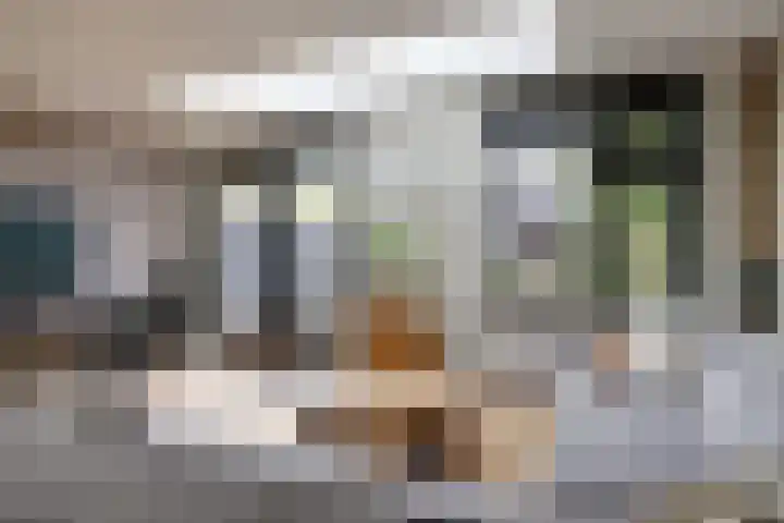 De Laars 1 Enkhuizen thumbnail 19
