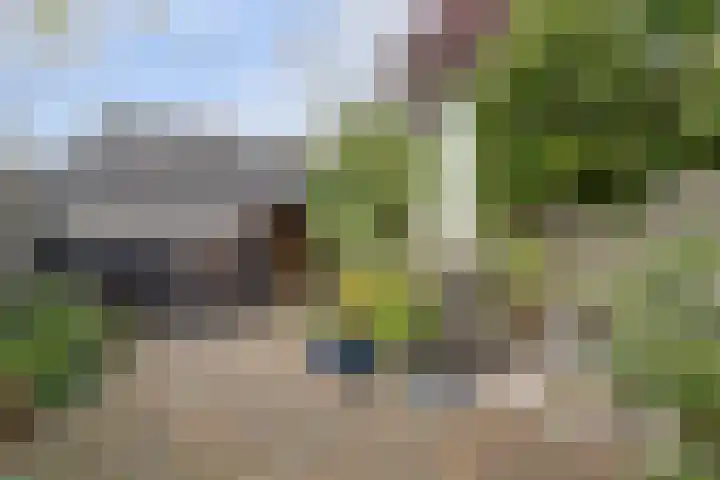 De Laars 1 Enkhuizen thumbnail 20