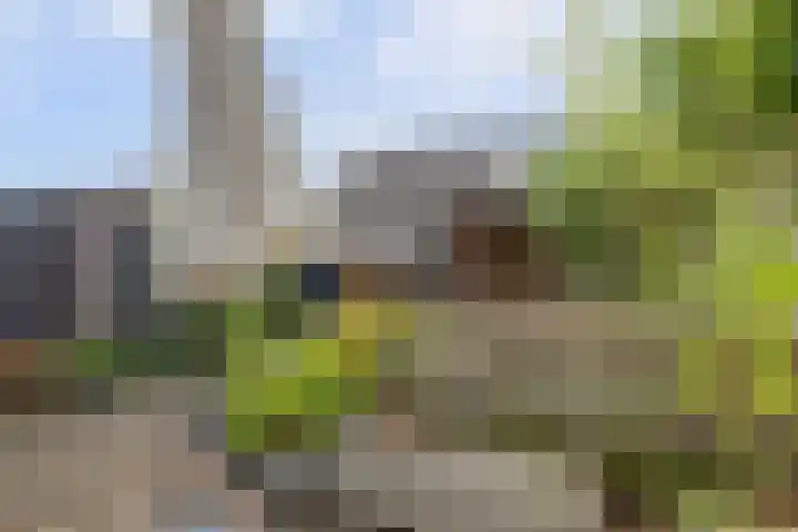 De Laars 1 Enkhuizen thumbnail 21