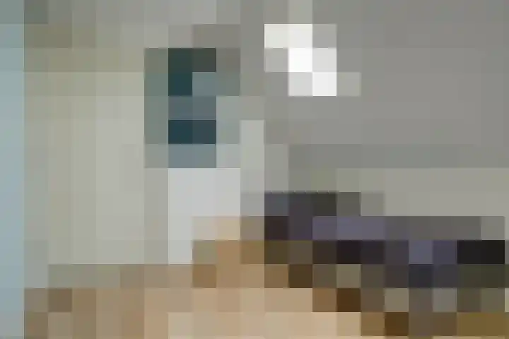 De Laars 1 Enkhuizen thumbnail 36