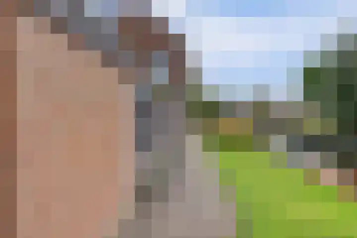 De Laars 1 Enkhuizen thumbnail 42