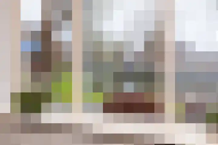 De Laars 2 Enkhuizen thumbnail 12